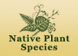 Native Plant Species